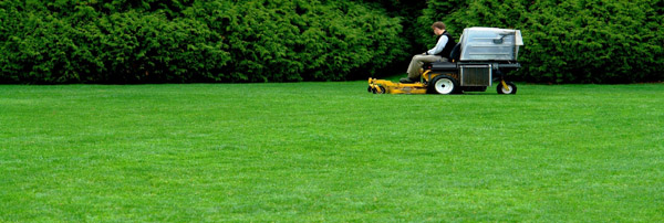 realizzazione giardini in verona